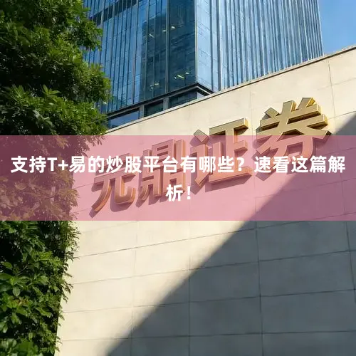 支持T+易的炒股平台有哪些？速看这篇解析！