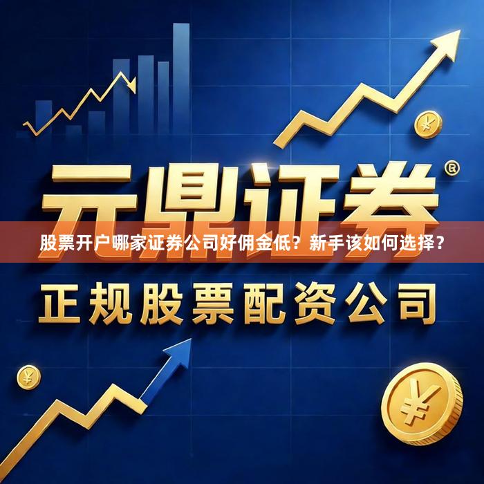 股票开户哪家证券公司好佣金低？新手该如何选择？