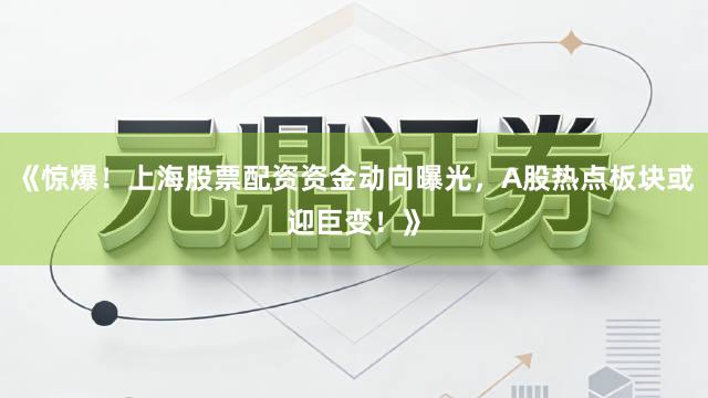 《惊爆！上海股票配资资金动向曝光，A股热点板块或迎巨变！》