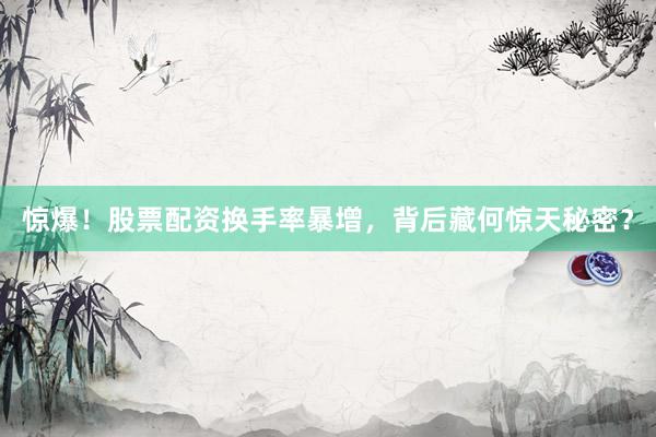 惊爆！股票配资换手率暴增，背后藏何惊天秘密？