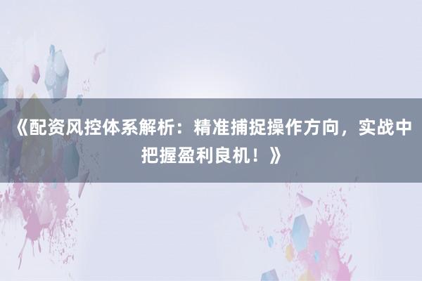 《配资风控体系解析：精准捕捉操作方向，实战中把握盈利良机！》
