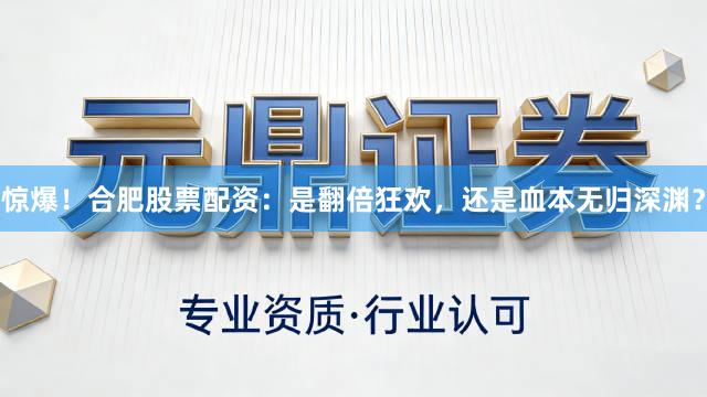 惊爆！合肥股票配资：是翻倍狂欢，还是血本无归深渊？