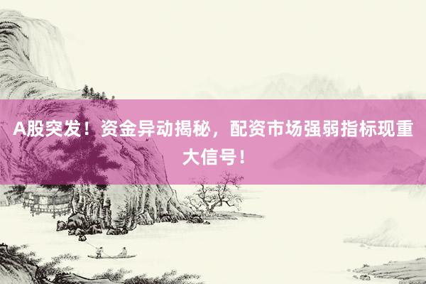 A股突发！资金异动揭秘，配资市场强弱指标现重大信号！