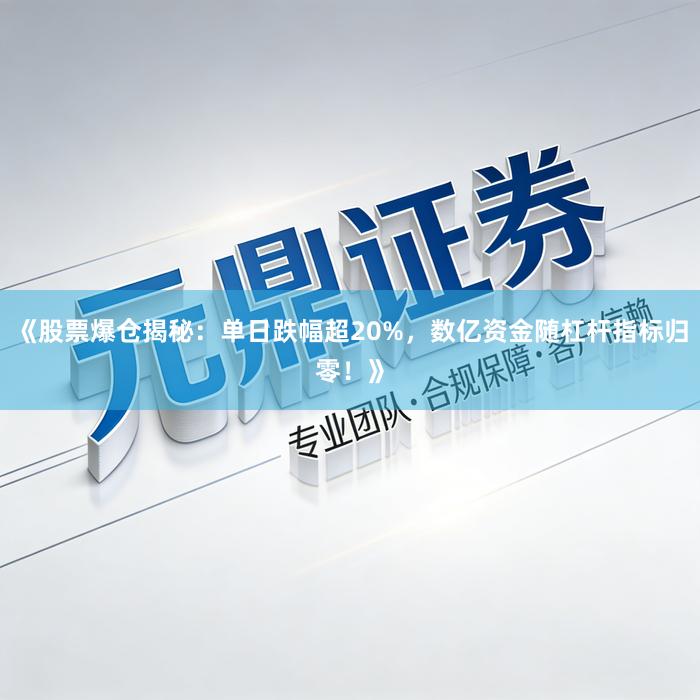 《股票爆仓揭秘：单日跌幅超20%，数亿资金随杠杆指标归零！》