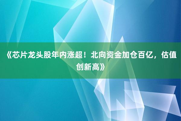 《芯片龙头股年内涨超！北向资金加仓百亿，估值创新高》