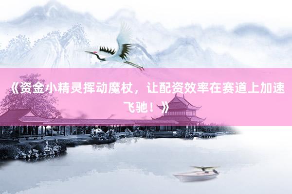 《资金小精灵挥动魔杖，让配资效率在赛道上加速飞驰！》