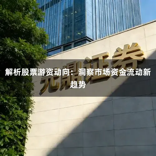 解析股票游资动向：洞察市场资金流动新趋势