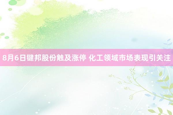 8月6日键邦股份触及涨停 化工领域市场表现引关注
