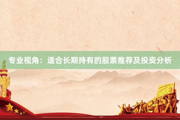 专业视角：适合长期持有的股票推荐及投资分析