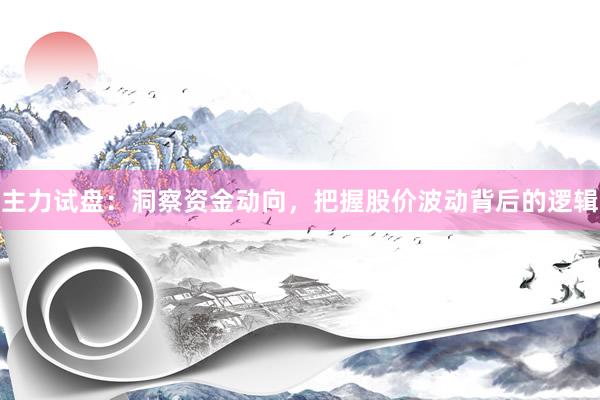 主力试盘：洞察资金动向，把握股价波动背后的逻辑