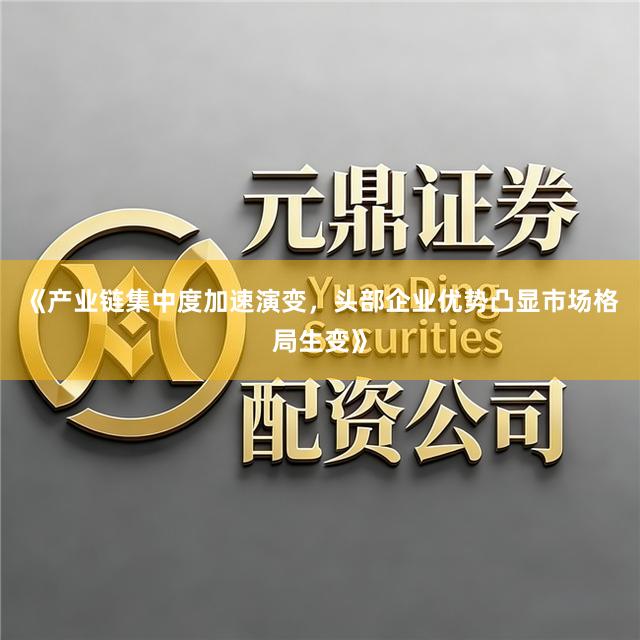 《产业链集中度加速演变,头部企业优势凸显市场格局生变》
