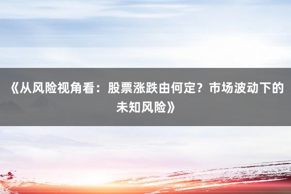 《从风险视角看：股票涨跌由何定？市场波动下的未知风险》