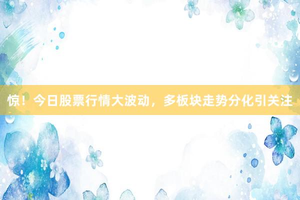 惊！今日股票行情大波动，多板块走势分化引关注