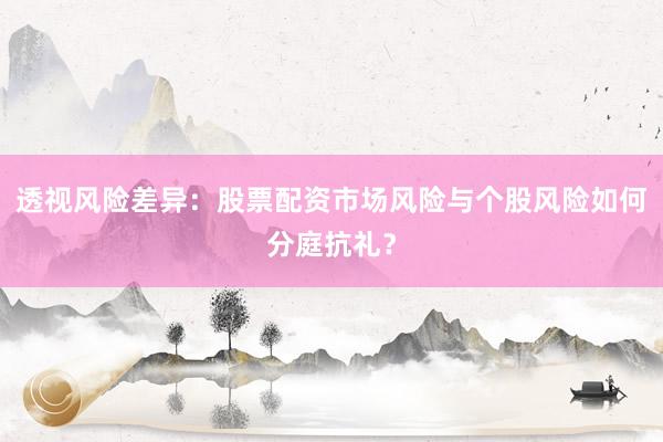 透视风险差异：股票配资市场风险与个股风险如何分庭抗礼？