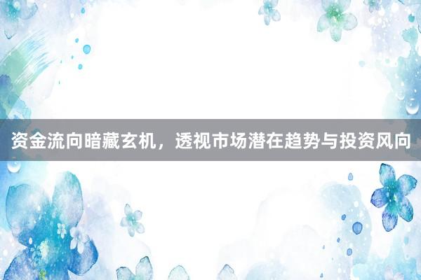 资金流向暗藏玄机，透视市场潜在趋势与投资风向