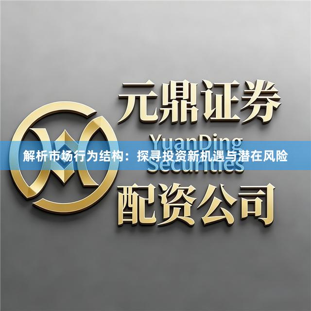 解析市场行为结构：探寻投资新机遇与潜在风险